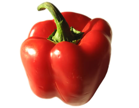 Pepper